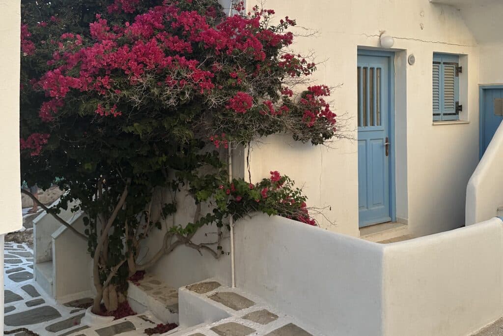 Beautiful house with flower in Paros Greece Alleyway2 Naousa in Paros, Greece at sunset
