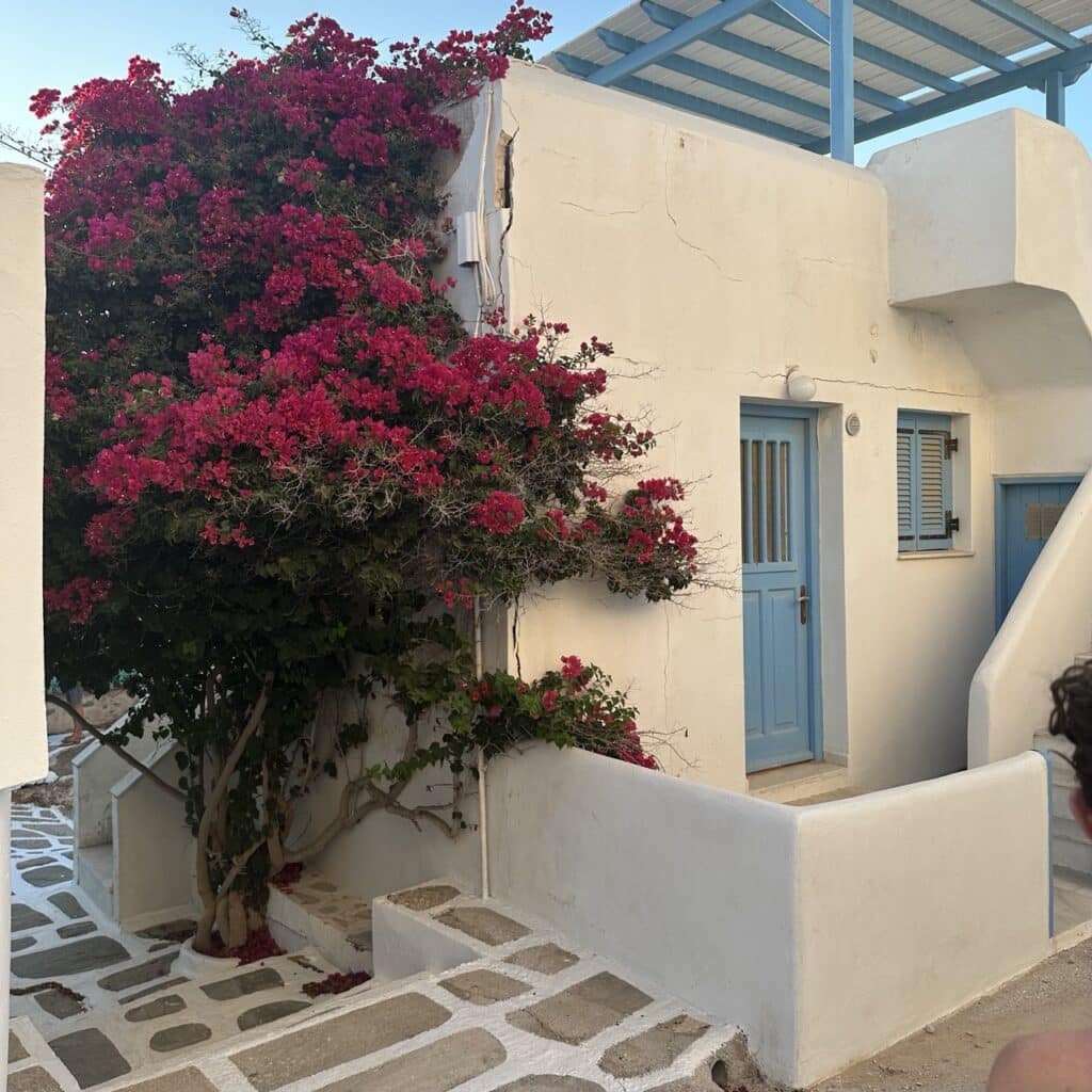 The beautiful Paros Greece allewyways Large