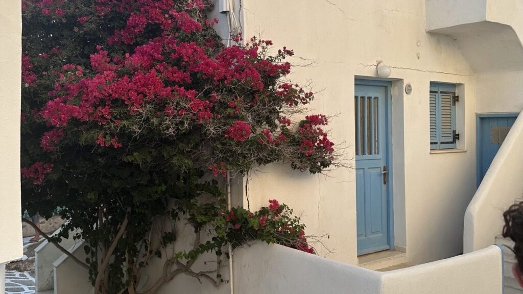 The beautiful Paros Greece allewyways Large